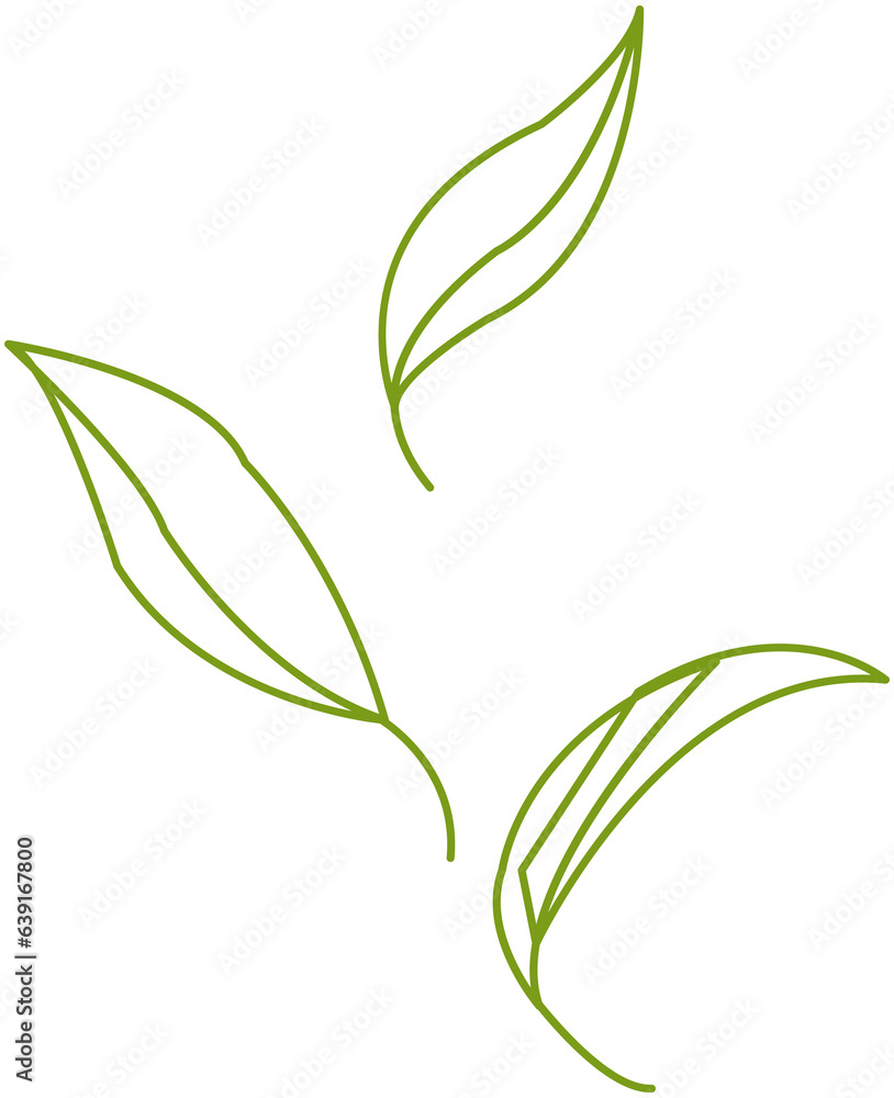 Fototapeta premium Green tea leaf minimal line icon
