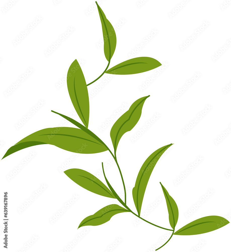 Fototapeta premium Green Tea Leaf Icon