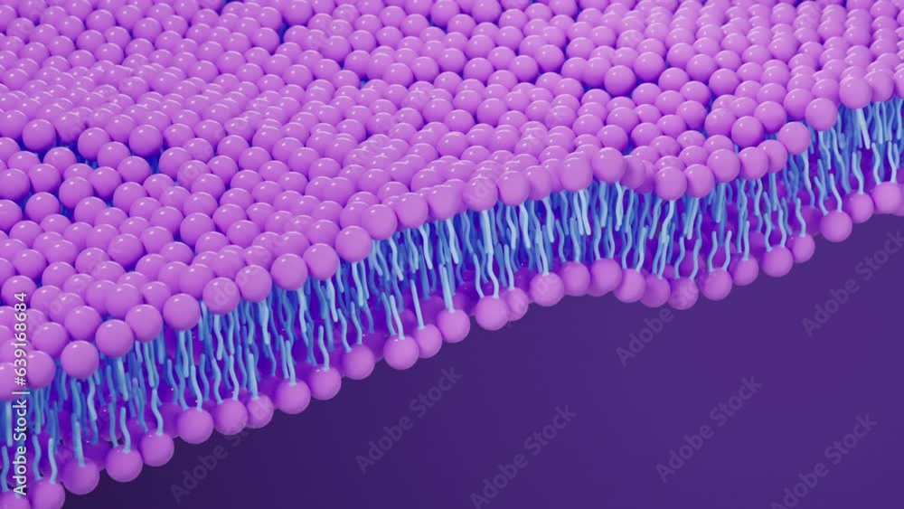 Cell membrane structure background, 3d rendering.