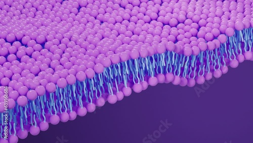 Cell membrane structure background, 3d rendering. photo