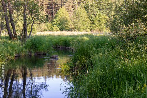 a small river in eastern Europe in the summer