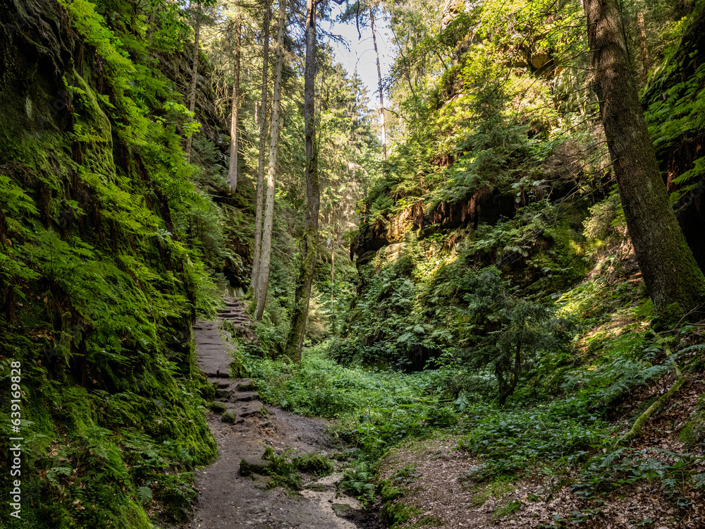 Elbsandsteingebirge Elbsandsteingebirge