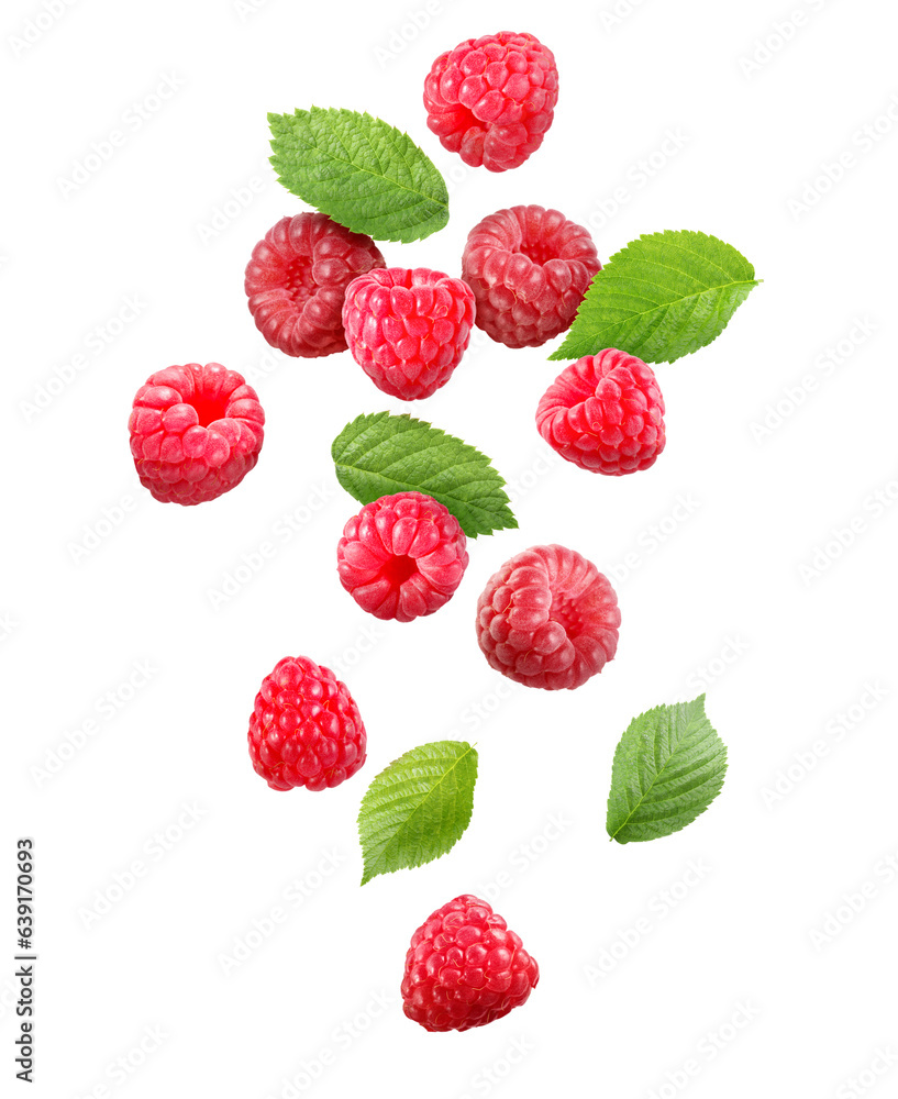 Many fresh ripe raspberries and green leaves falling on white background Many fresh ripe raspberries and green leaves falling on white background