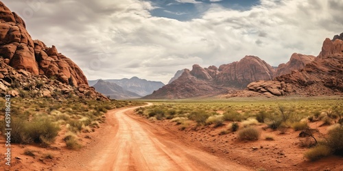 Slika na platnu Panorama of the road through the canyon desert