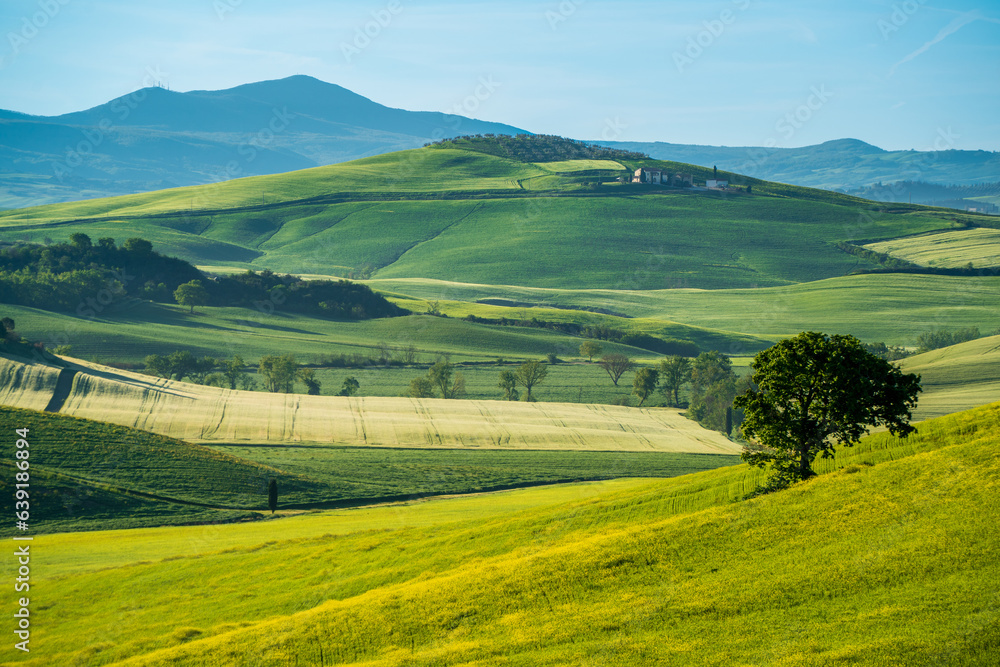 Fototapeta premium Beautiful Toscany landscape view in Italy