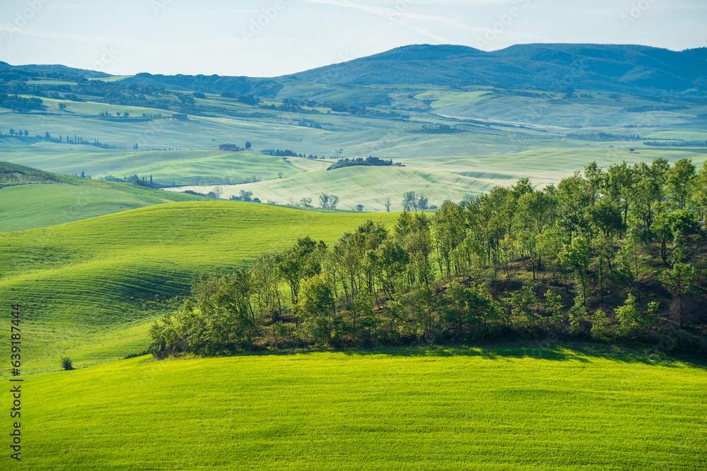 Fototapeta premium Beautiful Toscany landscape view in Italy