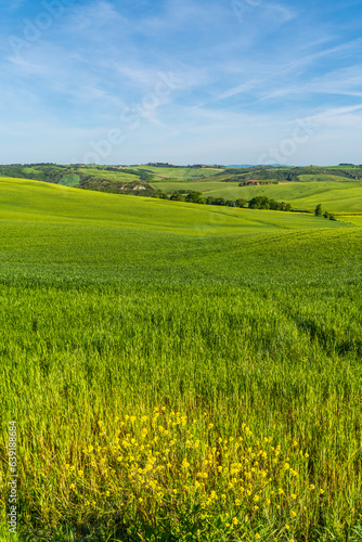Beautiful Toscany landscape view in Italy © nejdetduzen