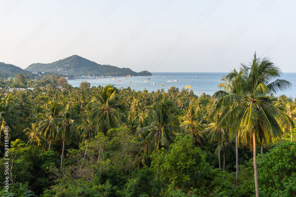 Scenic tropical Koh Tao island landscape with green palms, view from the high on sea with boats and Mae Haad Bay, mountains and clear sky with copy space