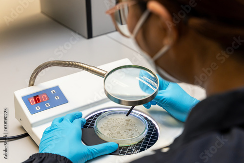 Scientist analysis and cultivate bacteria molds and fungal testing clinical samples, cultured in petri dish. Growth media to isolate total fungal by using colony counter in laboratory. photo