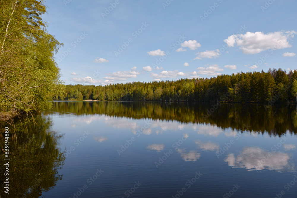 Beautiful forest sky lake reflection