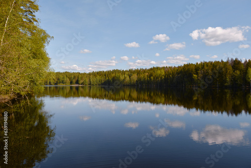Beautiful forest sky lake reflection