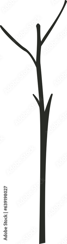 Fototapeta premium tree branch 69