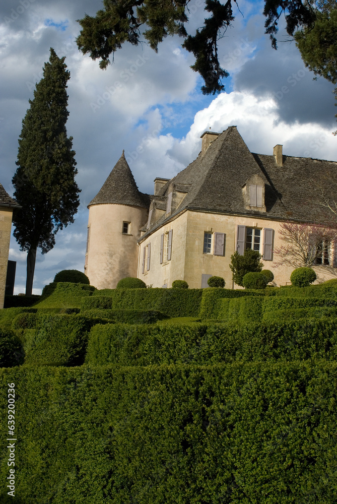 Buxus sempevirens, Buis, Les jardins suspendus, chateau de Marqueyssac, 24, Dordogne, France Buxus sempevirens, Buis, Les jardins suspendus, chateau de Marqueyssac, 24, Dordogne, France