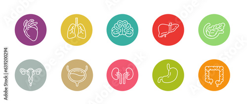 Set of human internal organs icon, medical organ symbol with circle shape