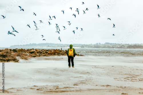Fototapeta Naklejka Na Ścianę i Meble -  Traveler, Backpacker on the beach near sea looking far away at horizon. Baltic Sea, Coastline and Stormy Weather. tourist man in casual clothes outdoors on the nature, seagulls flying over the Ocean