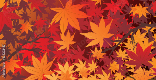 秋　紅葉　和風　背景
