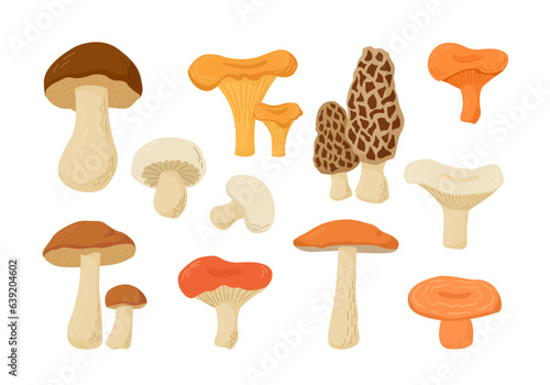 Set of edible mushrooms. Cartoon vector illustration. Cep, Boletus, Champignon, Chanterelle, Aspen, Morel, Oyster Russula, Niscalo. Autumn harvest.