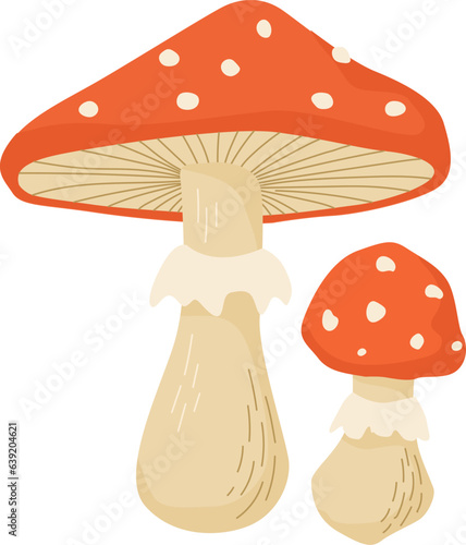 Amanita mushroom vector illustration. Poisonous mushrooms in forests