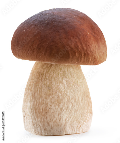 Porcini mushroom on white background. File contains clipping path.