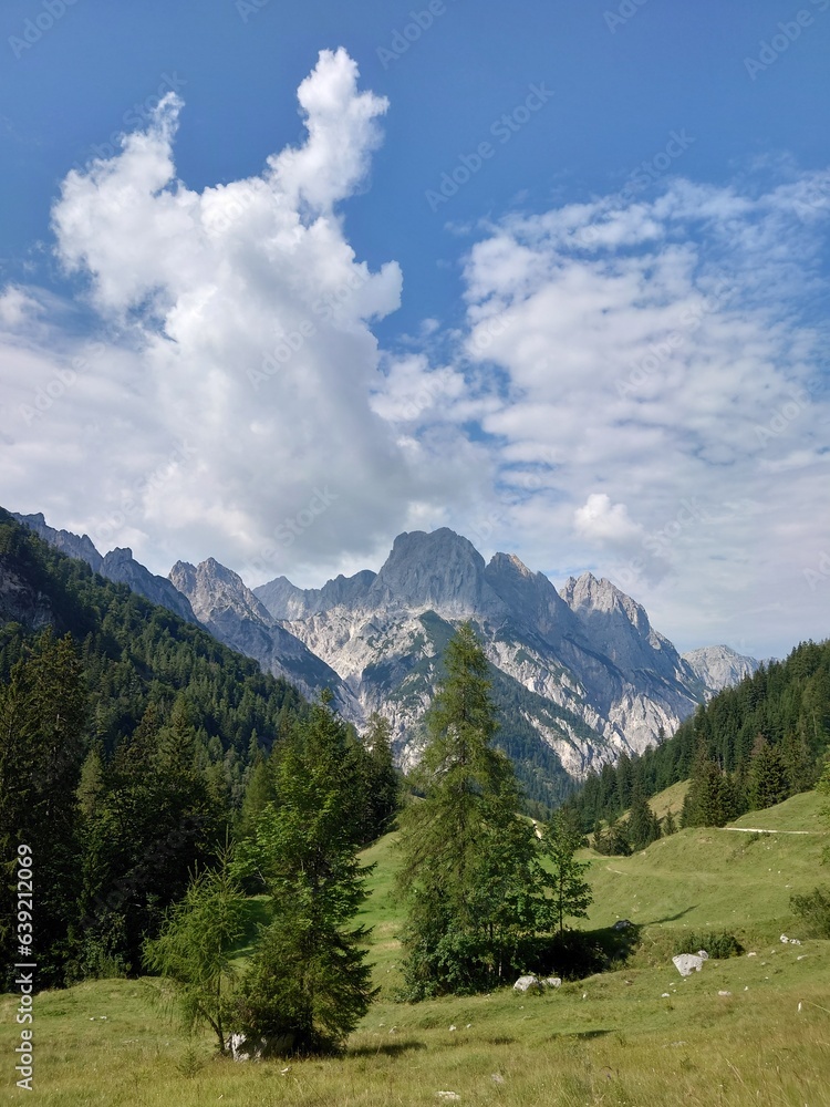 Fototapeta premium In den Bergen