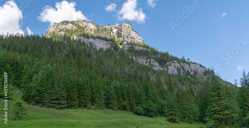 Summer landscape at Tatra national park ,Zakopane.