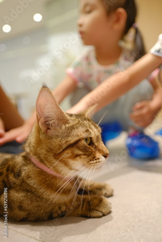 child and cat