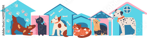 Animals shelter and pets adoption banner layout. Finding new house for pet and homeless domestic animals care. photo