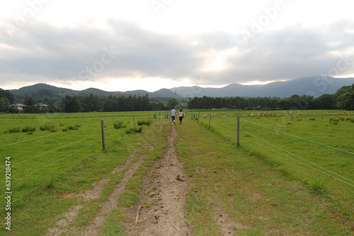 road in the ranch (牧場の中の一本道)