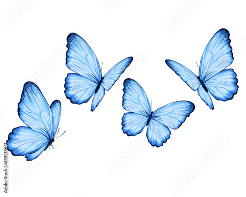 watercolor butterfly set of butterflies isolated on white	
