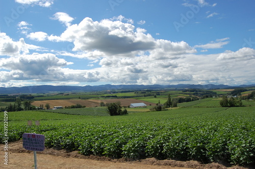 Farm in region country (北の国の農場)
