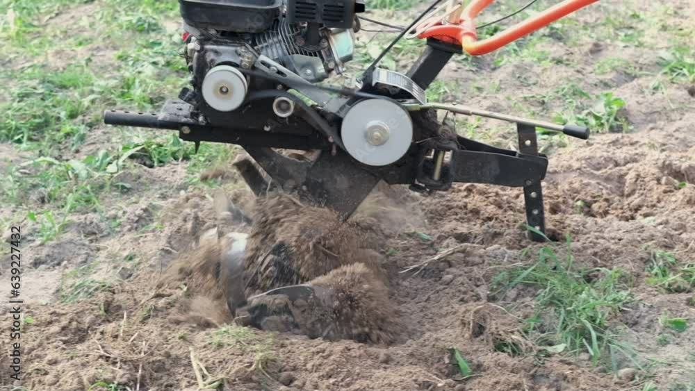 Powerful cultivator, Tiller. Gardening. Spring work on the farm. Land cultivation with a Motor ripper. Man plows the ground. Spring soil preparation for seeding. Husbandman, grower. Moto plow working Powerful cultivator, Tiller. Gardening. Spring work on the farm. Land cultivation with a Motor ripper. Man plows the ground. Spring soil preparation for seeding. Husbandman, grower. Moto plow working