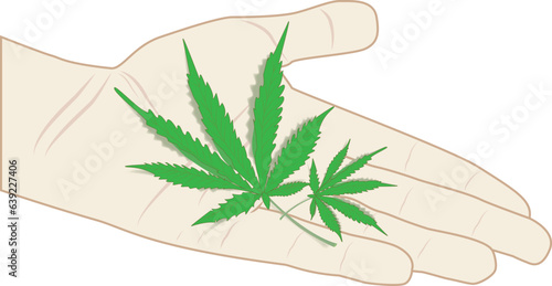 Cannabis is a medicinal plant. Vector illustration of a leaflet
