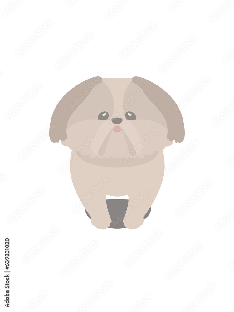 Obraz premium Standing Shih Tzu puppy ID photo Front illustration