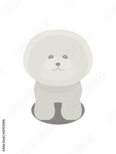 Standing bichon dog Front illustration