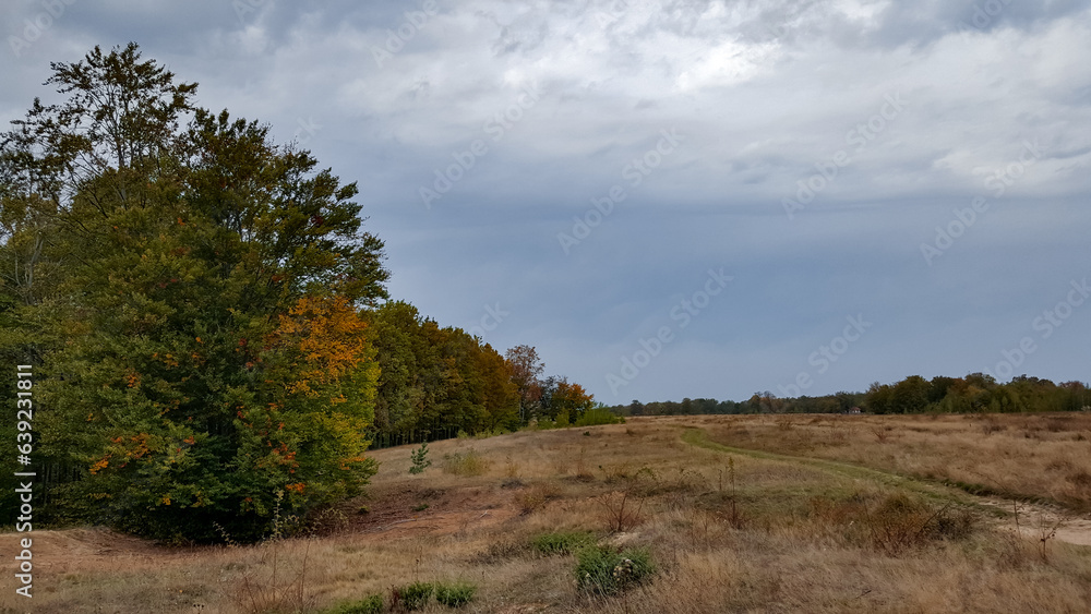 A trail through the middle of a dry meadow in the autumn season. Wild place close to the forest far from civilization 