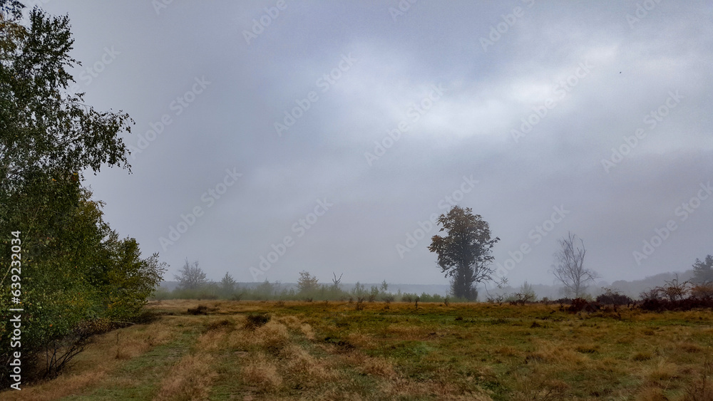 A trail through the middle of a dry meadow in the autumn season. Wild place close to the forest far from civilization A trail through the middle of a dry meadow in the autumn season. Wild place close to the forest far from civilization
