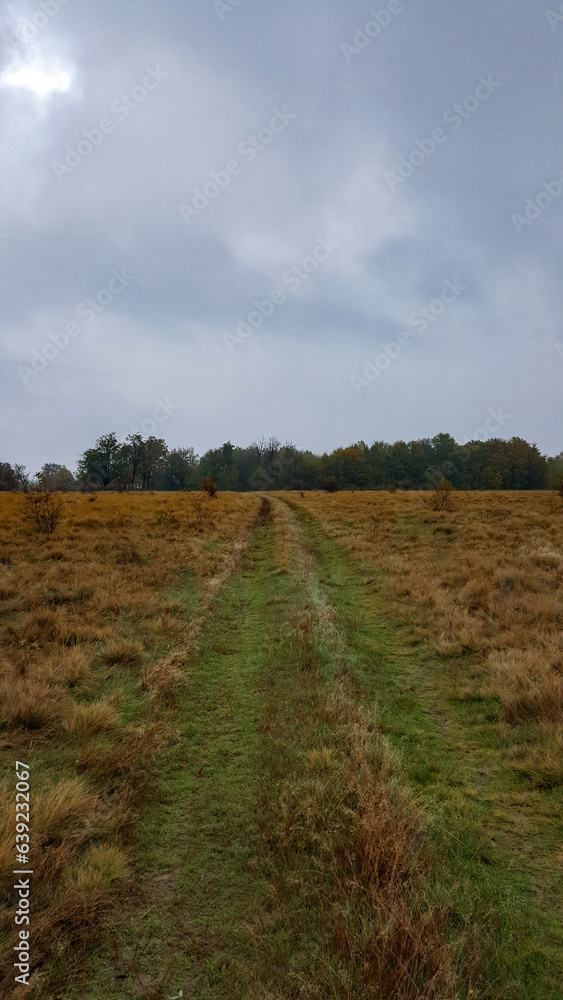 A trail through the middle of a dry meadow in the autumn season. Wild place close to the forest far from civilization 