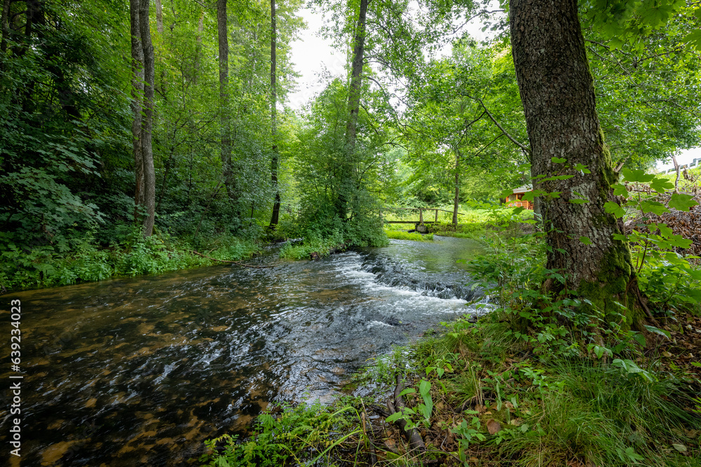Beautiful clean little river. Roztocze, Poland, Sopot River Beautiful clean little river. Roztocze, Poland, Sopot River