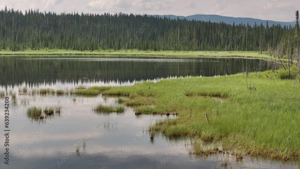 A low level drone flight slides right to left across a peaceful pond in the foothills of Alberta, Canada A low level drone flight slides right to left across a peaceful pond in the foothills of Alberta, Canada