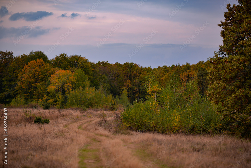 A trail through the middle of a dry meadow in the autumn season. Wild place close to the forest far from civilization A trail through the middle of a dry meadow in the autumn season. Wild place close to the forest far from civilization