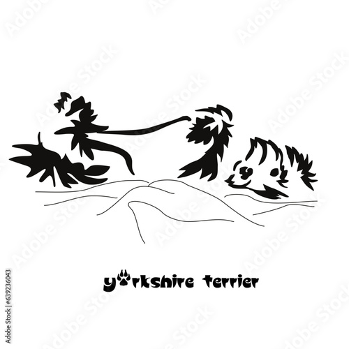Lying stylized Yorkshire terrier. Vector drawing of a small dog with a haircut and hypoallergenic hair. Animal Gestalt Design