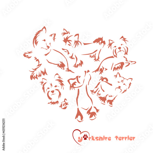 Holiday card Happy Valentine's Day. Yorkshire terrier with love. Vector drawing of a small dog with a long hypoallergenic coat. Stylized image. Gestalt animal design.
