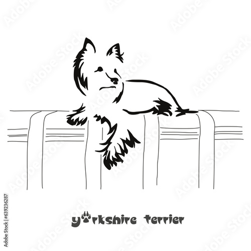 Lying stylized Yorkshire terrier. Vector drawing of a small dog with a haircut and hypoallergenic hair. Animal Gestalt Design