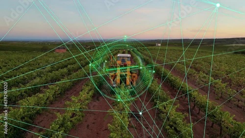 Aerial view harvesting with an automatic machine. Vineyards and technological agriculture.