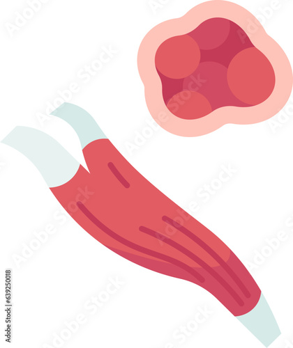 muscle  icon
