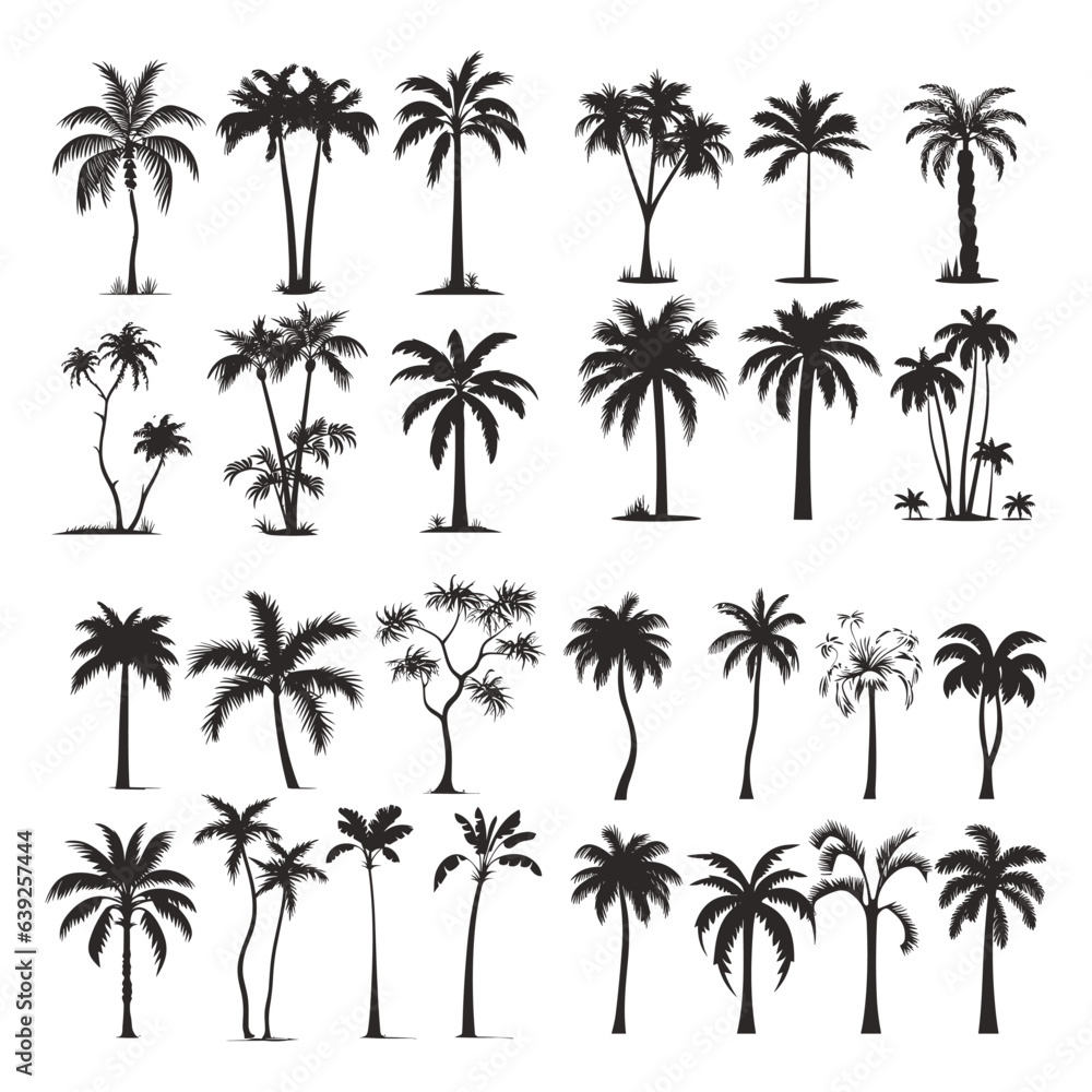 Big set of coconut tree silhouettes vector isolated on white background