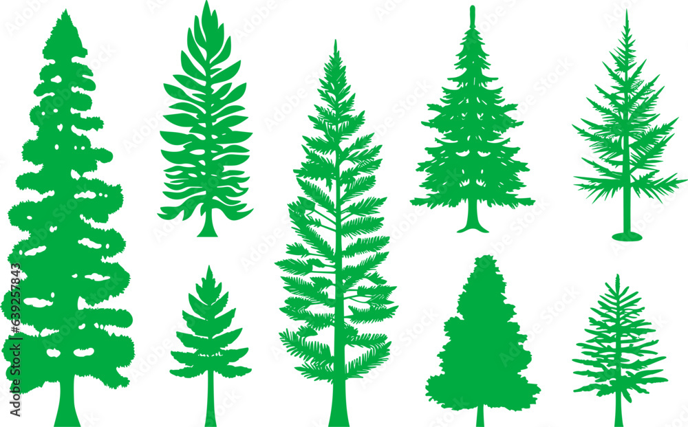 Set of spruce trees vector illustration