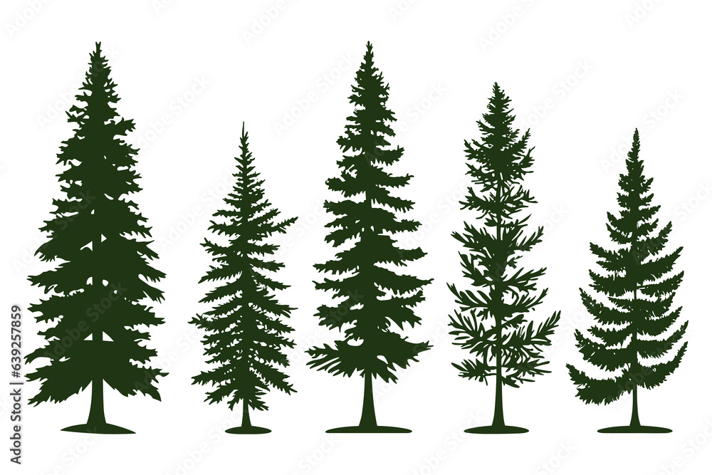 Set of silhouettes of spruce trees vector illustration