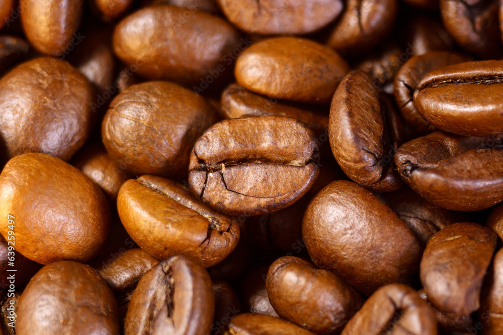 Roasted hot coffee beans falling on pile of coffee beans. Front view. Close up macro. Roasted hot coffee beans falling on pile of coffee beans. Front view. Close up macro.