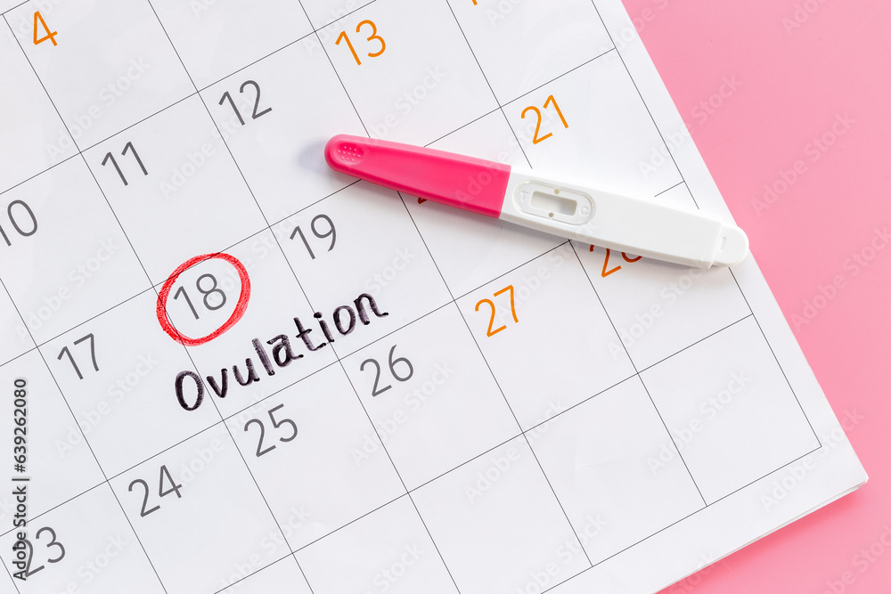 Female calendar with Ovulation day with pregnancy test Female calendar with Ovulation day with pregnancy test